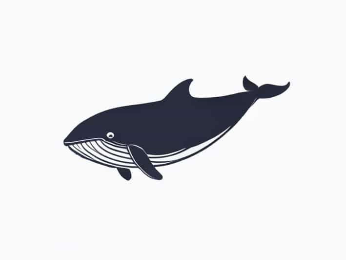 Is A Sperm Whale A Baleen Whale