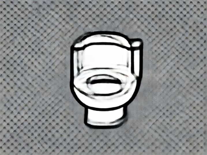 Japan Squatting Toilet Incident