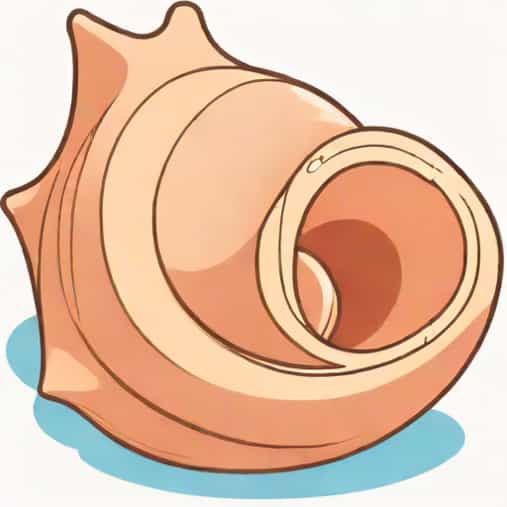 Queen Conch Is A Large Sea Snail