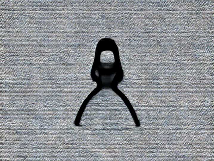 The Nonexistent Princess Manhwa