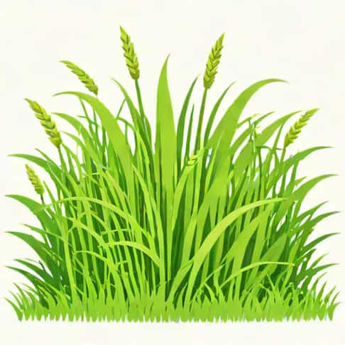 Theme Of Grass By Carl Sandburg