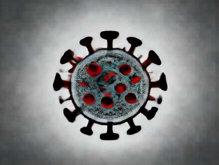 Viral Pneumonia Causative Agent