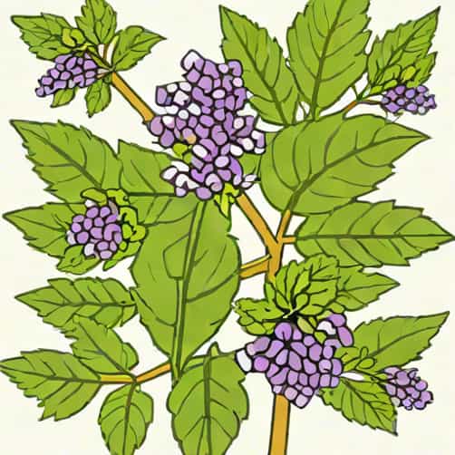 Von Eusersdorff Patchouli Balmy