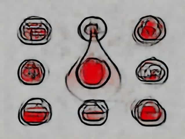 What Are The Component Of Blood