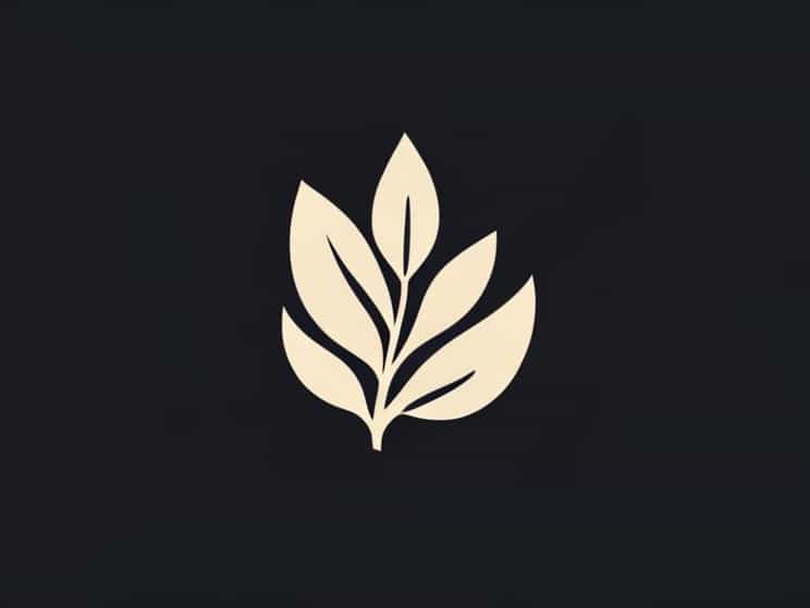 What Is An Example Of An Achene