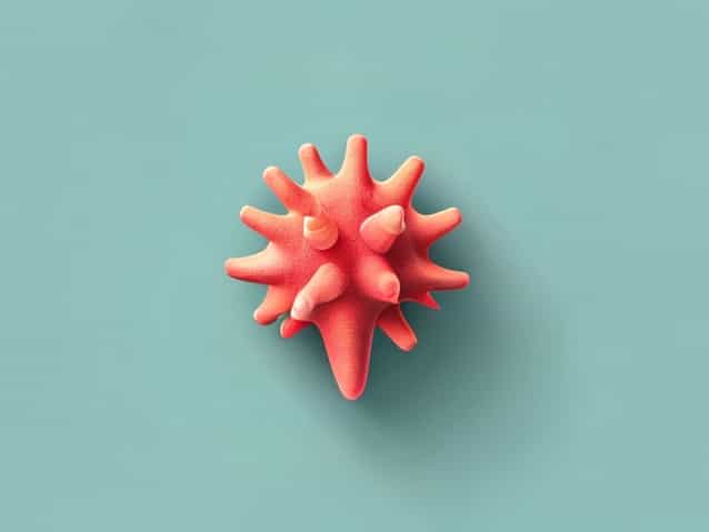 What Is The Function Of A Villus