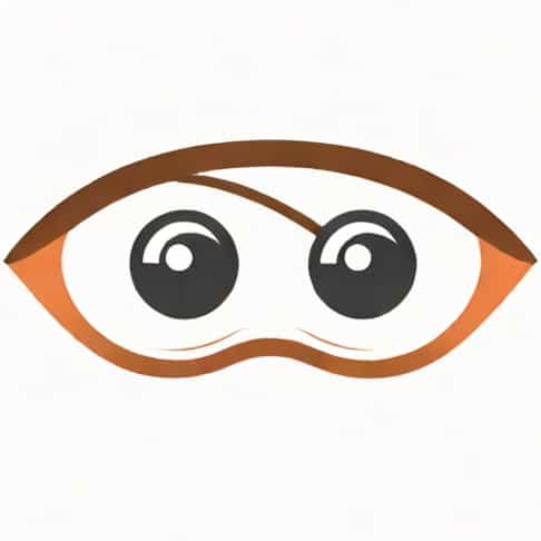 What Is The Meaning Of Eyesight