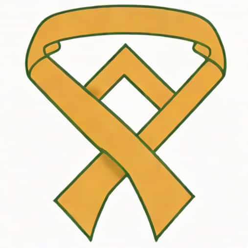 Army Nco Professional Development Ribbon