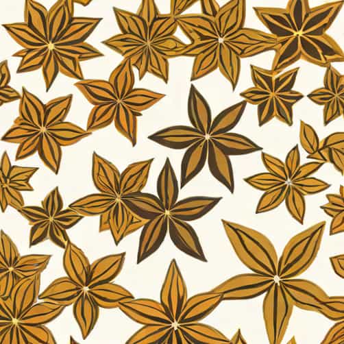 Difference Between Aniseed And Star Anise