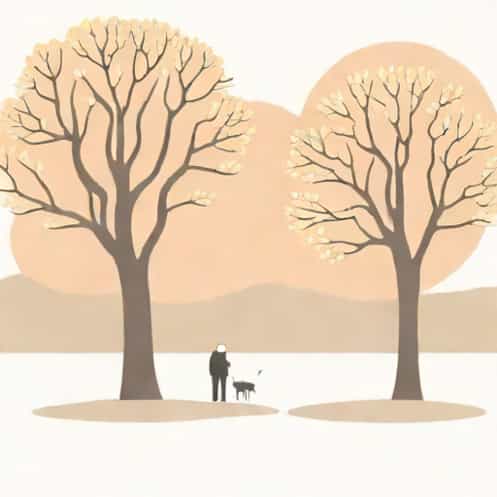 Hazy Shade Of Winter Simon And Garfunkel