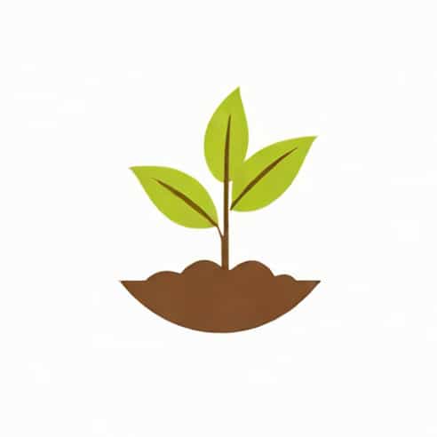 Is Germination Of Seed A Chemical Change