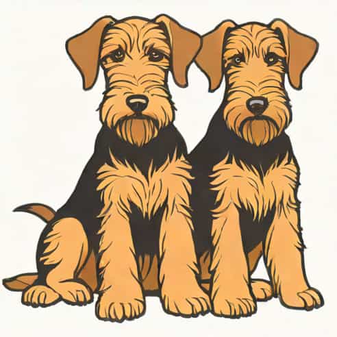 Jokyl Airedale Terriers Puppies For Sale