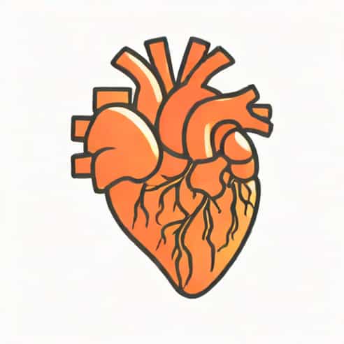 Left Ventricular Internal Dimension Systole