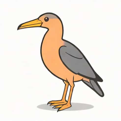 Most Dangerous Flightless Bird In Australia