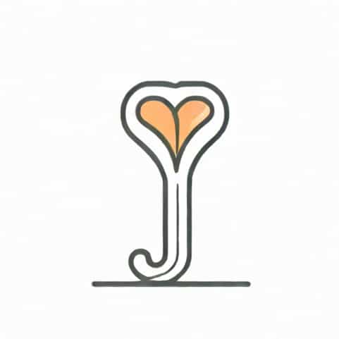 Natural Recanalization Of Fallopian Tube