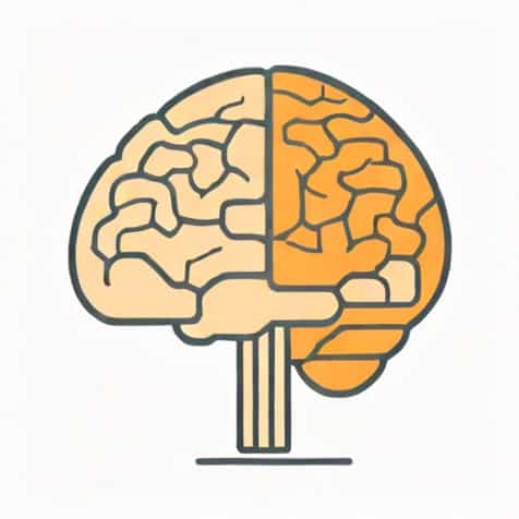 What Is The Frontal Lobe Responsible For