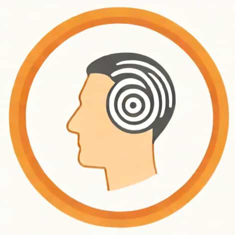 Where Are The Visual And Auditory Cortices