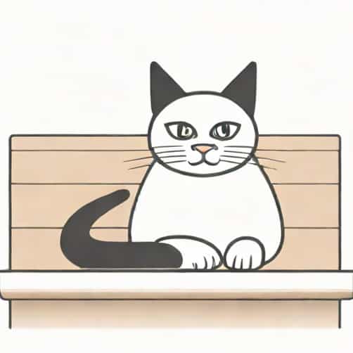 Cat Waiting Patiently Meme
