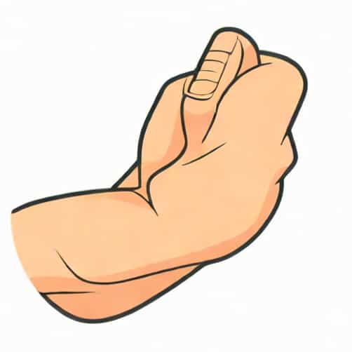 Elbow Flexed At 90 Degrees