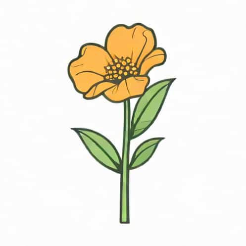 Hoe Lang Kook Je Bloemkool