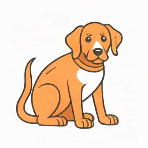 Que Es Enteritis En Perros