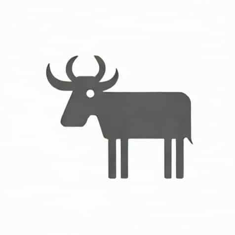 Use Ruminant In A Sentence