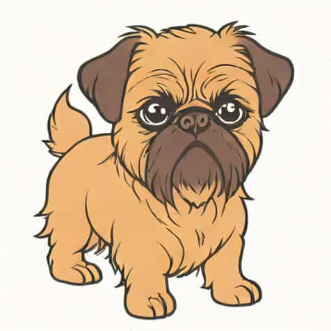 What Is A Brussels Griffon