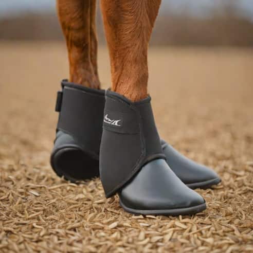 Mark Todd Fetlock Boots