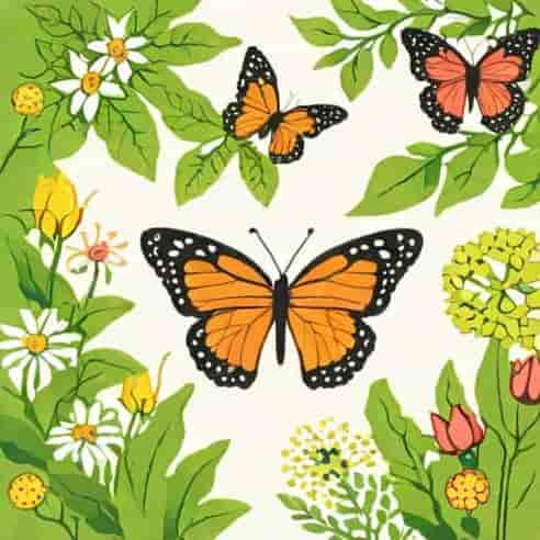 Ovalekar Wadi Butterfly Garden