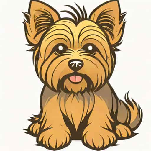 Yorkshire Terrier Rescue